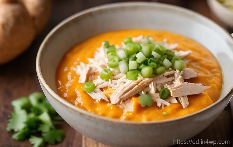 고구마와 채소로 만든 한 그릇식사 - A close-up shot of a steaming, creamy sweet potato and shredded chicken porridge in a warm, rustic c...